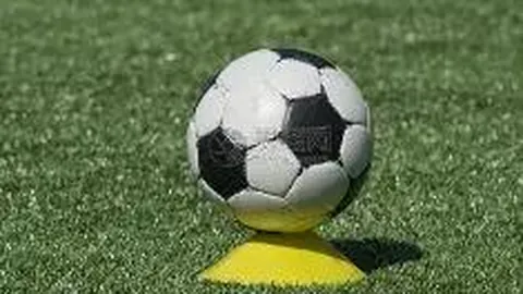 沙巴体育平台 资讯 112510 dc6