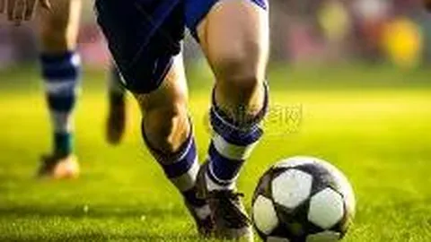 浦东世纪公园打造全民体育生活节，创新“公园+”模式引领消费新风尚