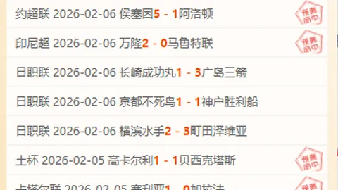托卢卡VS华雷斯：期号专家质合分析预测大胜可能性